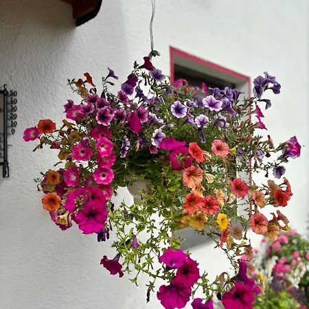 Apartment Linneweber